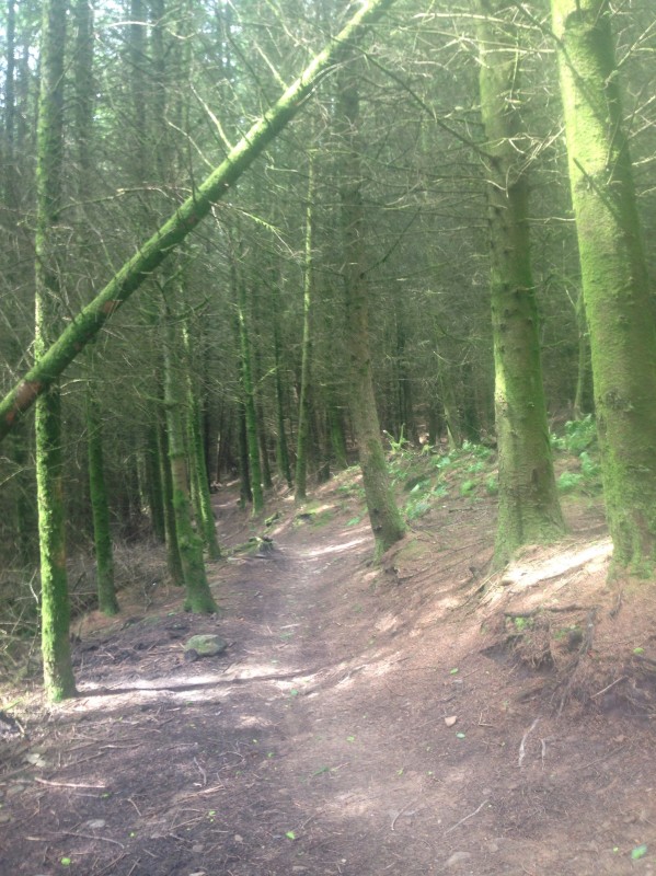 authorities loose credit score document gov credit employer letter template