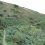 longmynd2 longmynd2