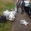 Litter picking day Litter picking day